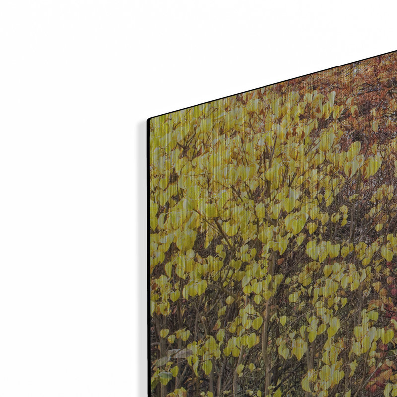 «Autumn Tunnel» par Colby Chester, H 36 po x l 36 po