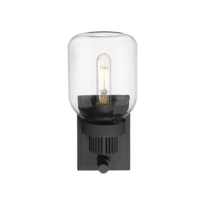 Steel Armed Sconce