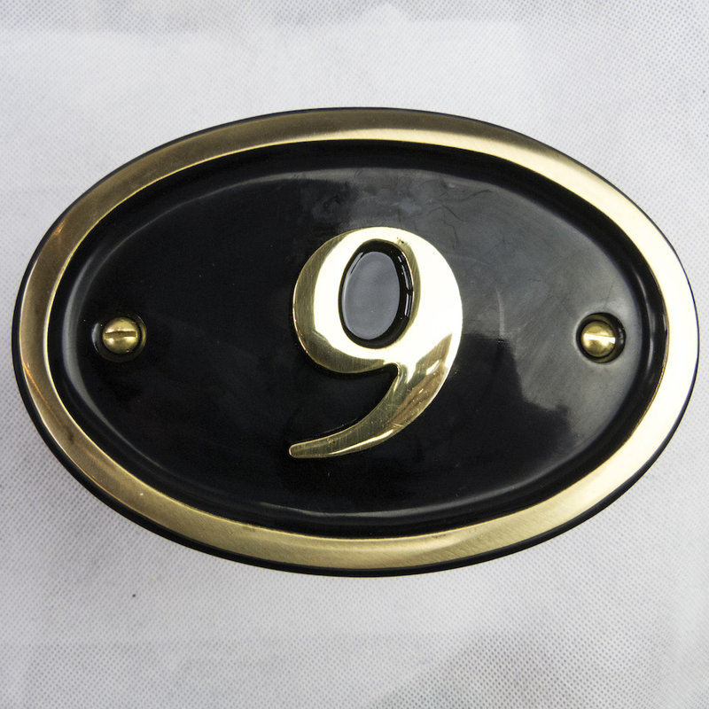 Tyrinia 10cm H Reflective Aluminum House Number, 9