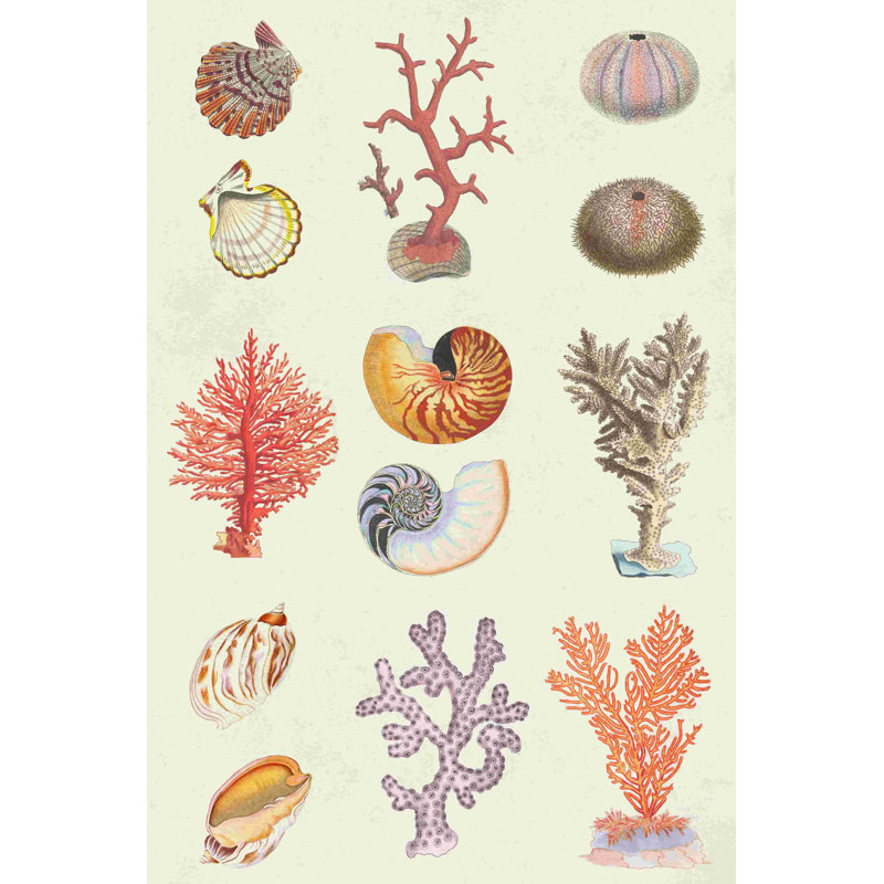 Coral & Shell Collage I - impression sur toile tendue, H 18 po x l 12 po