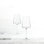Simplify Wine Glass