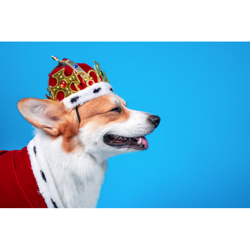 Smiling Welsh Corgi by Ð˜Ñ€Ð¸Ð½Ð° ÐœÐµÑ‰ÐµÑ€ÑÐºÐ¾Ð²Ð° - Wrapped Canvas Print, 51cm H x 76cm W