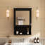 Armoire de rangement murale noire 20 po, style moderne, tablettes réglables, porte simple, bois massif et métal, charnières, armoire de rangement Space For