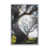 Silver n'est pas disponible