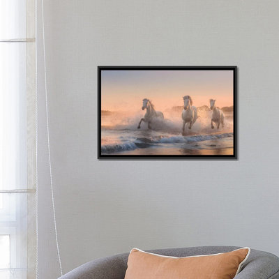 « white anges of camargue vi », reproduction d’impression sur toile