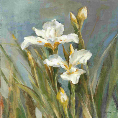 Iris printanier II