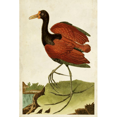 Portrait de héron IV