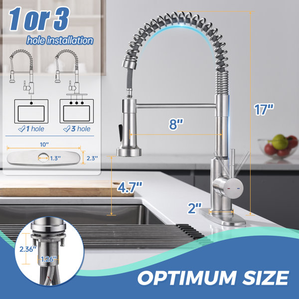 Aida KPAIDA Pull Down Single Handle Kitchen Faucet with Accessories ...