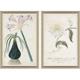 Belladonna Lily & Flower On A Passion Tree Giclee Print by Paul Cezanne