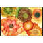 Tapis d'extérieur Westhope-2069158407