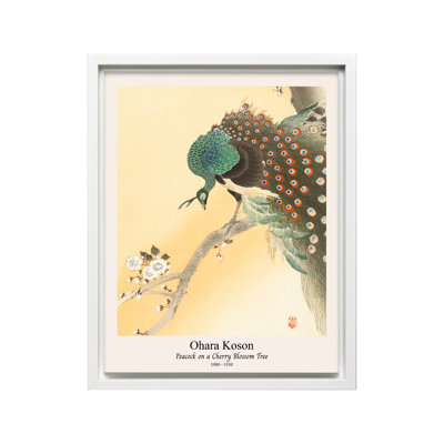 Ohara Koson - Paon No3