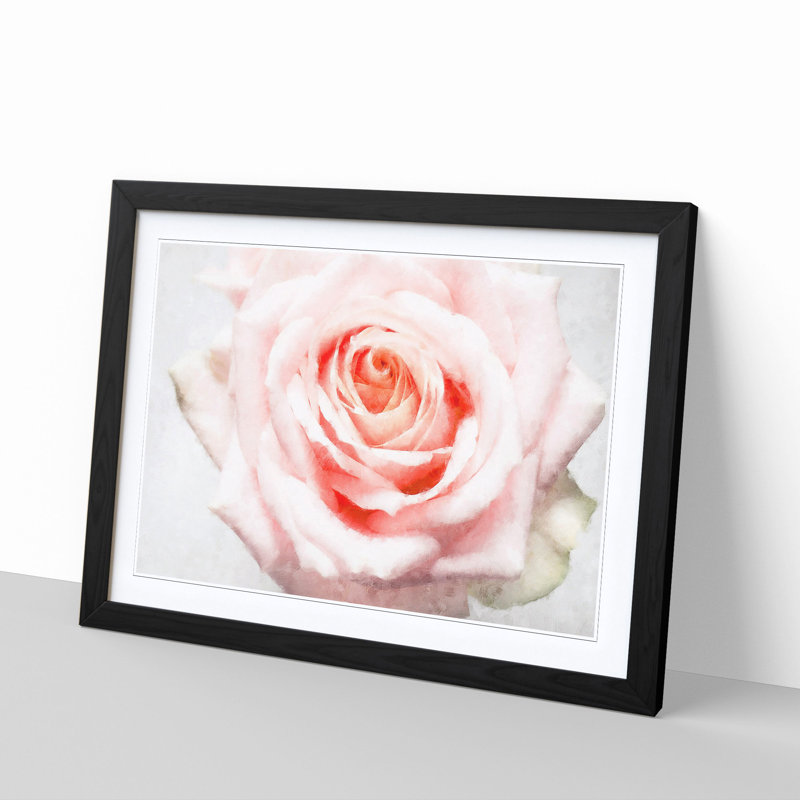 Pale Pink Rose - Picture Frame Graphic Art Print, 33cm H x 45cm W x 2cm D, Black