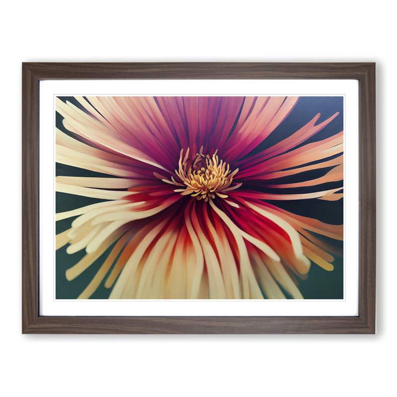 Chrysanthemum Flower Vol.2 - Framed Print, 46cm H x 64cm W x 2cm D, Walnut