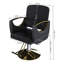 Chaise de salon hydraulique (paquet simple)