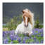 Trotting Icelandic Horse II, Lupine Fields, Iceland by Panoramic Images - Print on Canvas-69435008-101413819