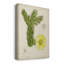 Antique Cactus I - impression sur toile tendue-449653782