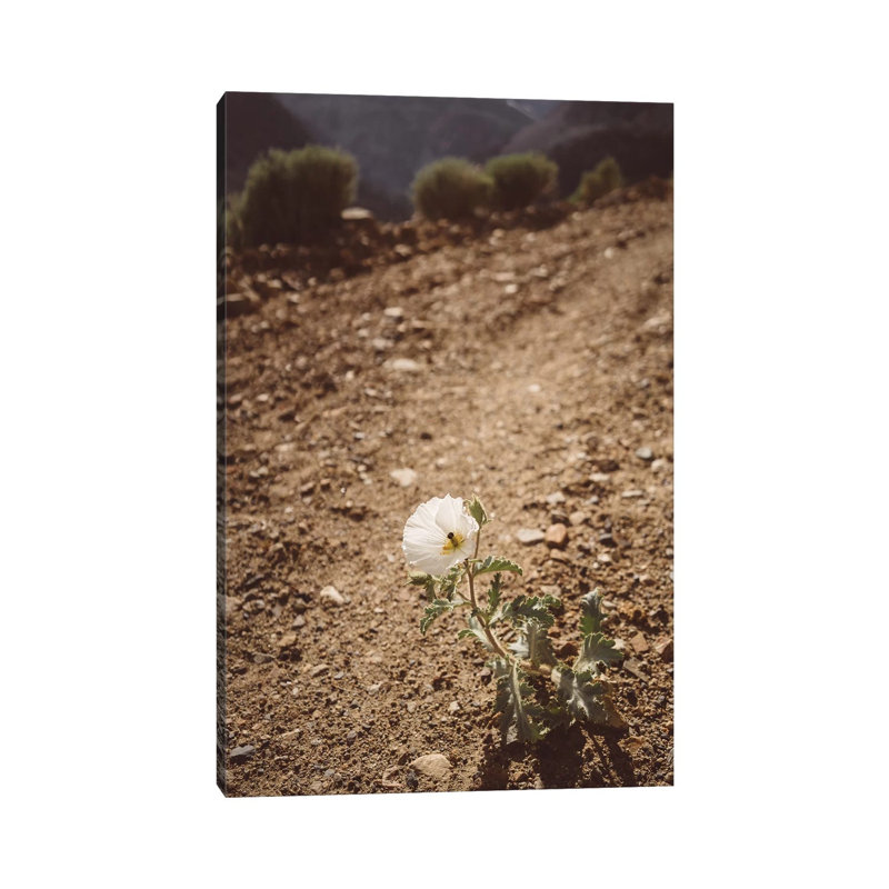 Yosemite Bloom III 1 Piece Wall Art on Canvas, 101.6cm H x 66.04cm W x 3.81cm D, Wrapped Canvas