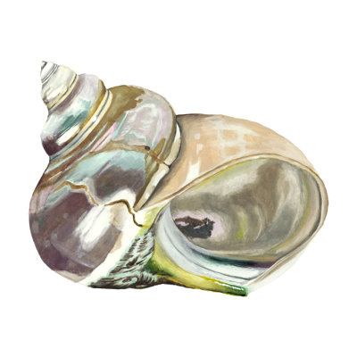 " Seashore Souvenirs IV " by Naomi McCavitt
