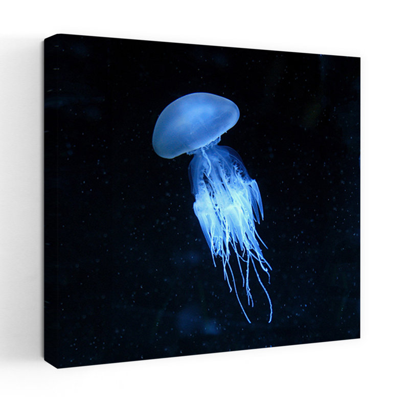 Art de la faune de l'océan abstrait contemporain luminescent, H 18 po x l 18 po