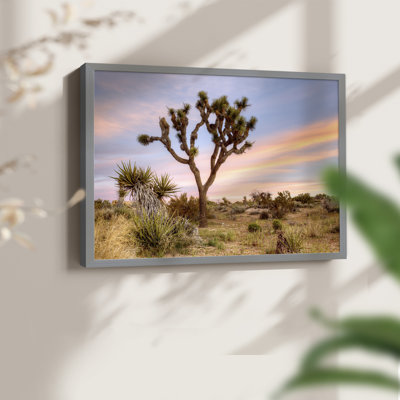 Joshua Tree Sunrise - reproduction encadrée - réarmable