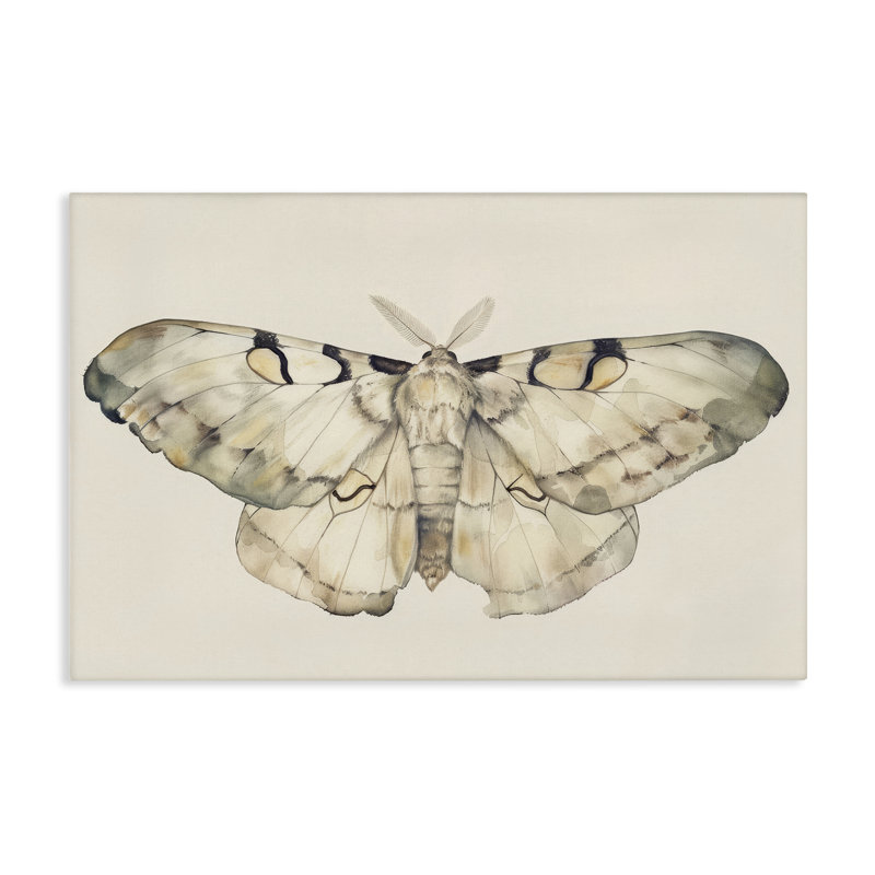 «Dusty Beige Moth», art mural sur toile par Petal Prints Design, H 24 po x l 36 po