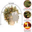 The Holiday Aisle® 36 in. Frosted Arctic Spruce Mailbox Swag with LED Lights