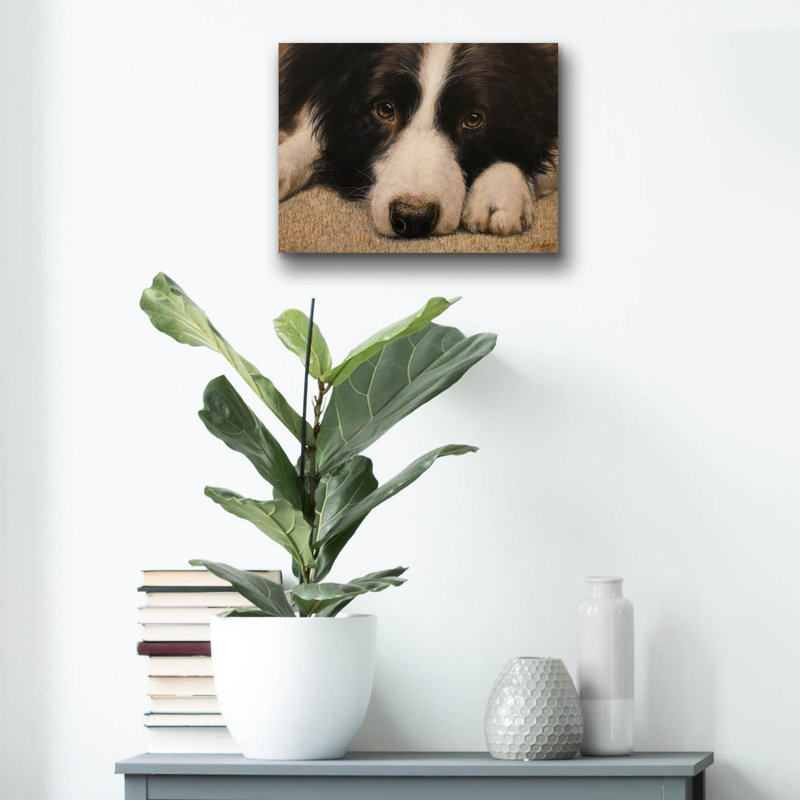«Border Collie Love» par John Silver, H 12 po x l 16 po