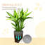 Ensemble de pots de fleurs empilables, 3 tailles Mgo, style gris moderne pour la maison de patio
