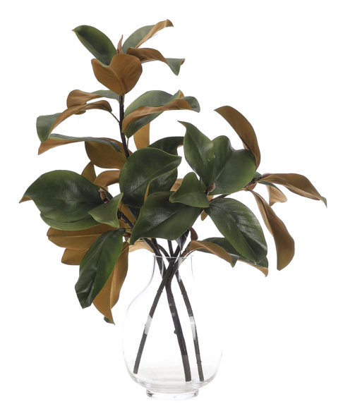 Magnolia Branch, Vase en verre, l 20 po x P 15 po