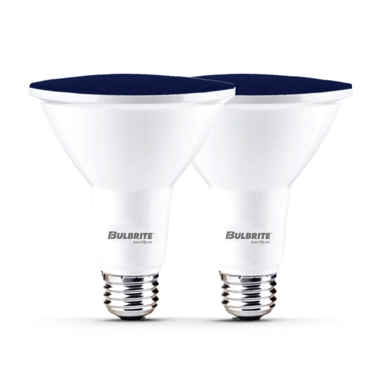 90-Watt Equivalent, PAR38 Weatherproof Outdoor E26 Medium Base Flood LED Light Bulb
