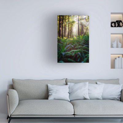 Art mural sur toile tendue - Rick Berk «Oregon Redwoods», art mural pour salon, chambre à coucher ou bureau - 16 x 24