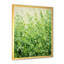 Herbes, thym, passage 2 - Art floral-1611448841-1644732341