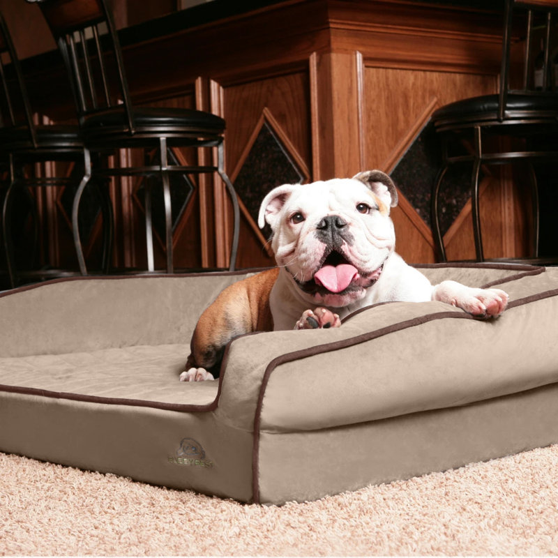 Lit pour chien Crown Bolster, Moyen (l 33 po x P 24 po x H 9 po), Beige champagne