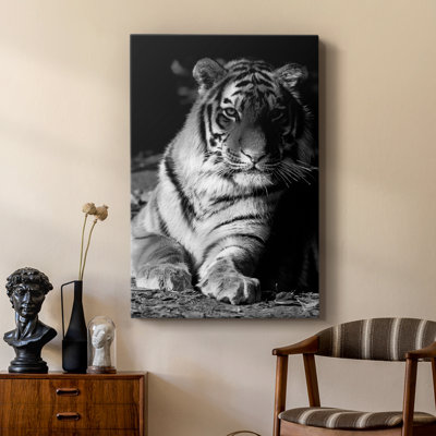 Tiger Repose - galerie Cavas sur mesure