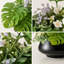 Arrangement