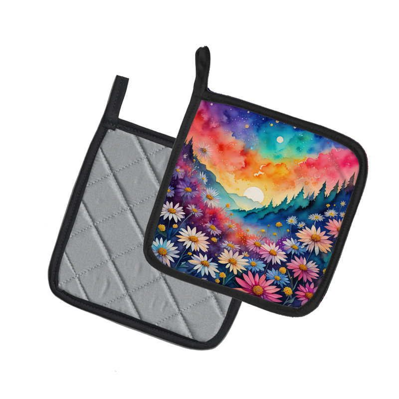 Colourful Asters Pair of Pot Holders