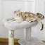 Marshfield 80cm H Cat Tree