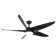 60'' Ceiling Fan With Light