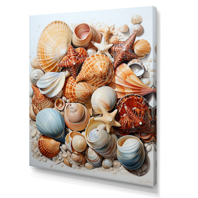 " Beach Photo Seashell Beauty III "