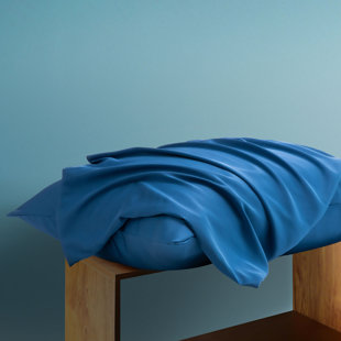 Silk Luxe Pillowcases (set of two)