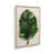 American Maple Framed Canvas