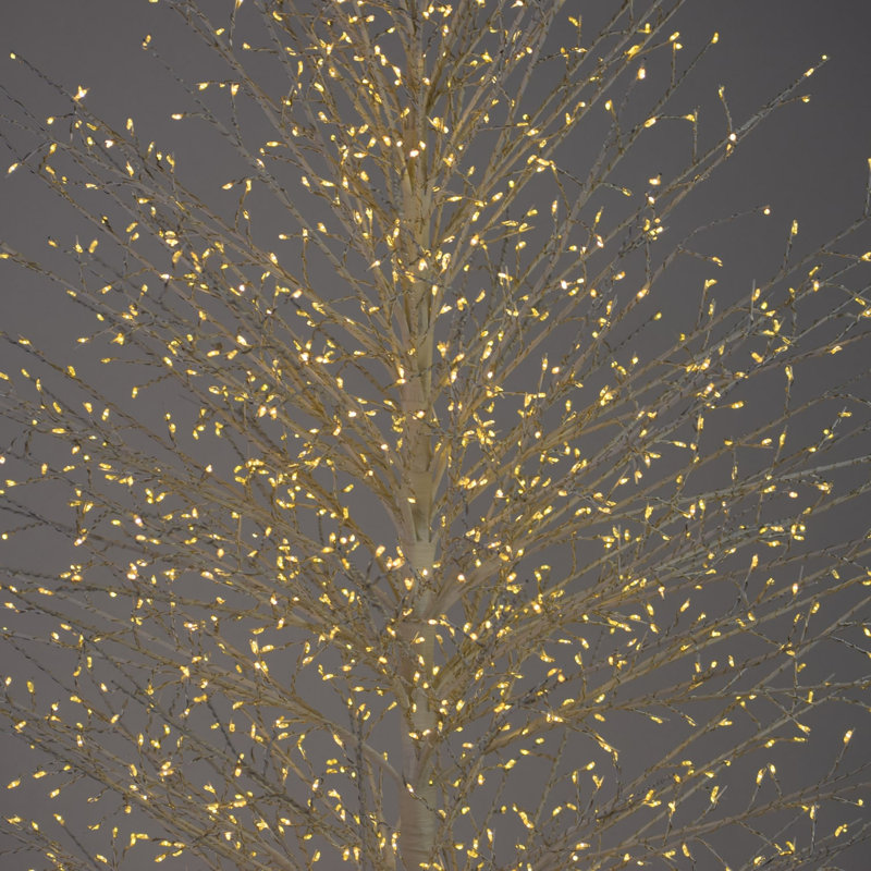Birch Tree with Warm White LED Lights, 70.86" H x 20.8" L x 20.8" D, White