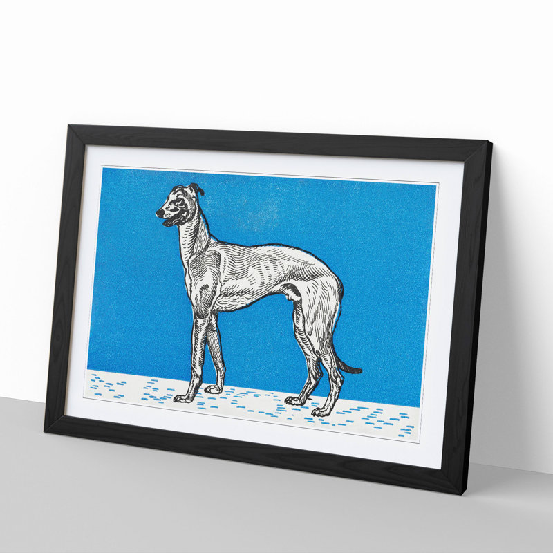 Greyhound Vol.1 by Moriz Jung - Framed Print, 27cm H x 36cm W x 2cm D, Black Framed