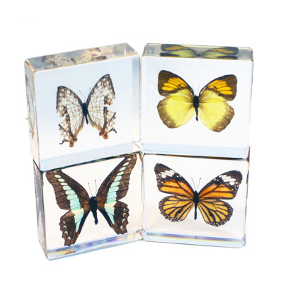 Quinonez Animals Figurines & Sculptures