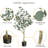 Eucalyptus Tree Artificial With Silver Dollar Leaves