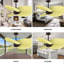 Alessandra - Ventilateur de plafond à cinq pales-103363380-103363393