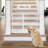 Clear Dog Gate