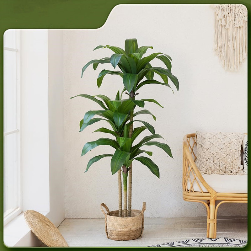 152cm Tree