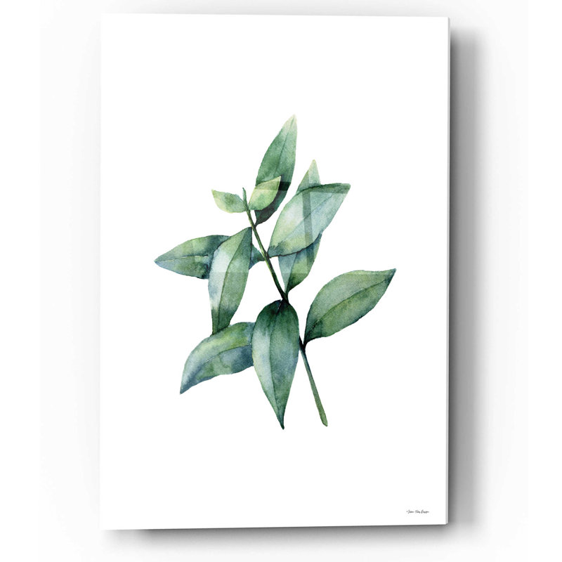 " Eucalyptus IV " by Seven Trees Design, 16" H x 12" W