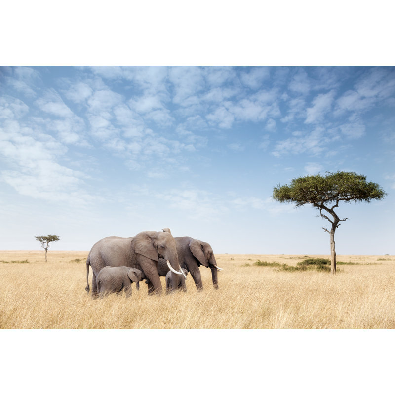 Weyland Elephants In Masai Mara - Wrapped Canvas Print, 81cm H x 122cm W x 3.8cm D